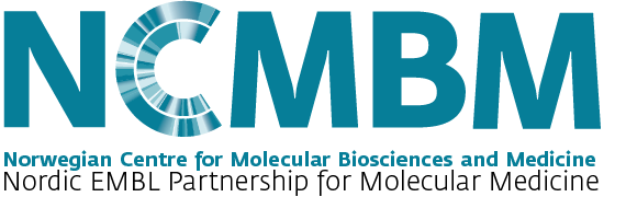 NCMBM